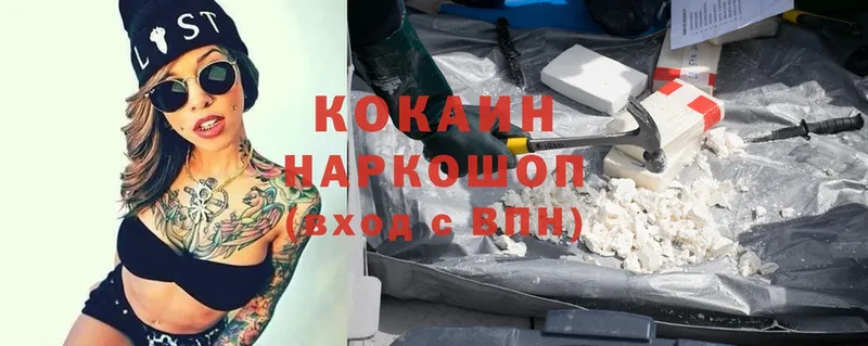 КОКАИН FishScale  магазин продажи наркотиков  Анива 